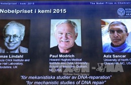 Nobel Hóa học cho “Tế bào sửa chữa ADN” 